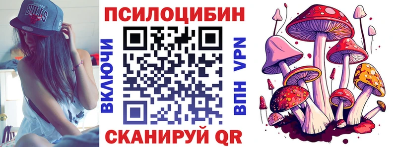 Псилоцибиновые грибы прущие грибы  Пермь 
